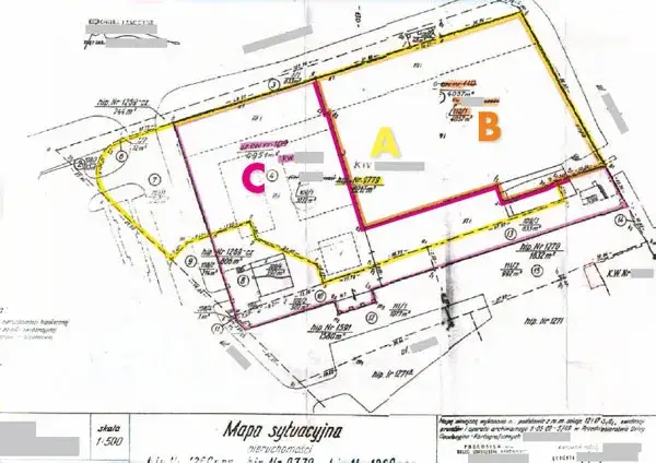 geodeta z teodolitem, mapa geodezyjna, protokół graniczny